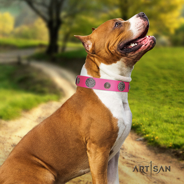 Amstaff easy adjustable full grain leather dog collar for fancy walking