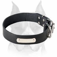Leather Amstaff dog collar for identification