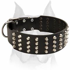 Handcrafted leather dog collar equipped with nickel pyramids