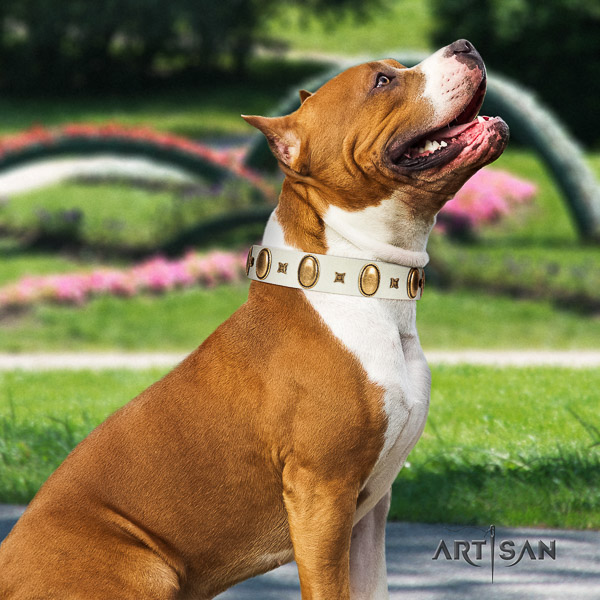 Amstaff unusual full grain genuine leather dog collar for comfy wearing