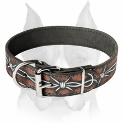 Great Amstaff painted dog collar for different activities