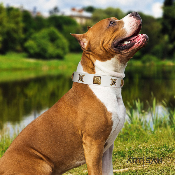 Amstaff incredible genuine leather dog collar for walking