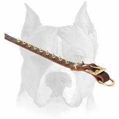 Timeproof leather dog collar with brass spikes design