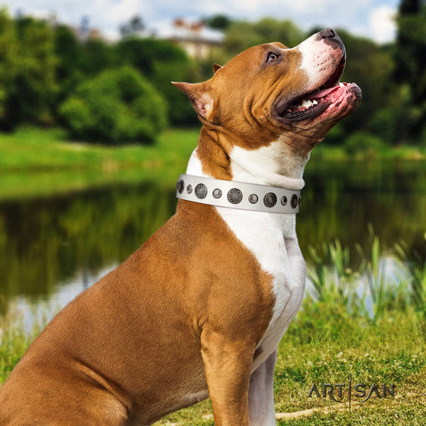 Amstaff unusual genuine leather dog collar with decorations for daily use