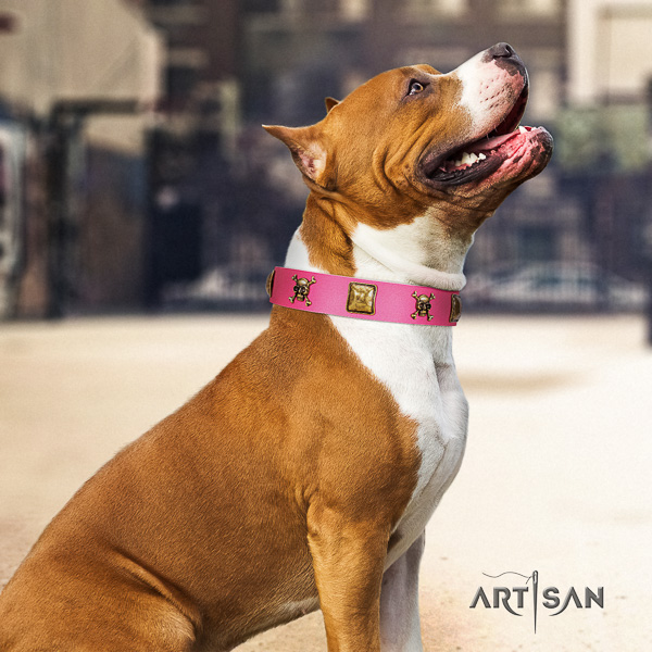 Amstaff perfect fit full grain leather dog collar for comfy wearing
