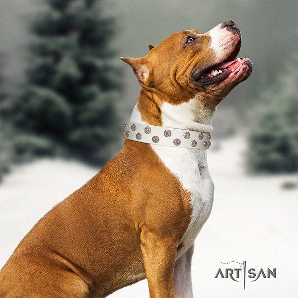 Amstaff unusual genuine leather dog collar for walking