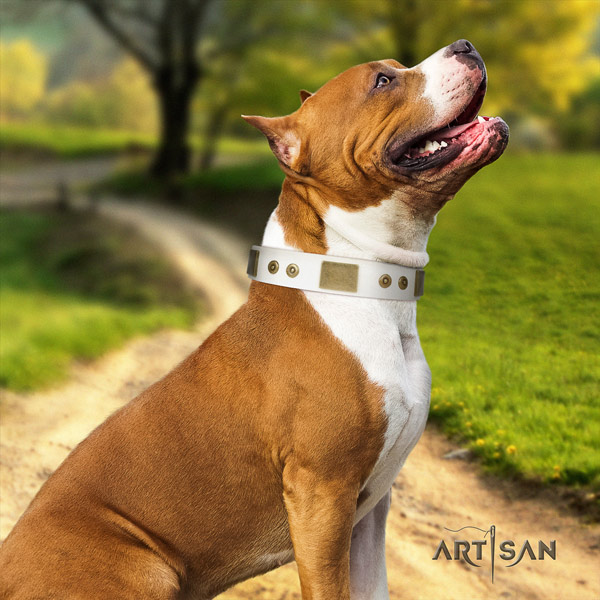 Amstaff exquisite genuine leather dog collar with decorations for comfortable wearing