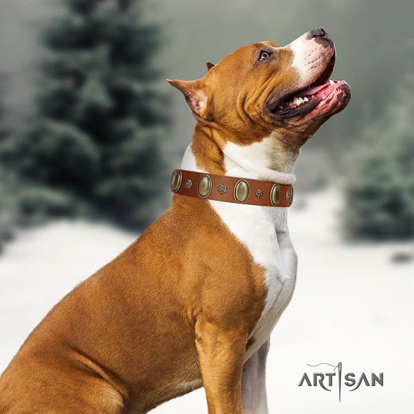 Amstaff easy adjustable leather dog collar for fancy walking