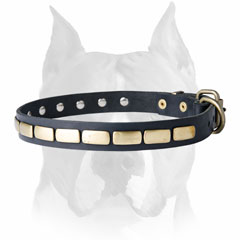 Beautiful design of this leather dog collar will make your dog look     stylish and fancy