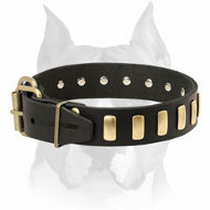 Fancy design leather Amstaff dog collar
