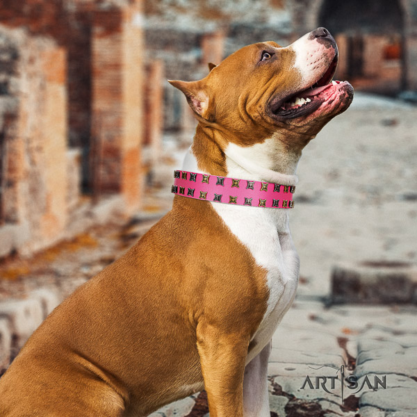 Amstaff inimitable full grain natural leather dog collar for comfortable wearing