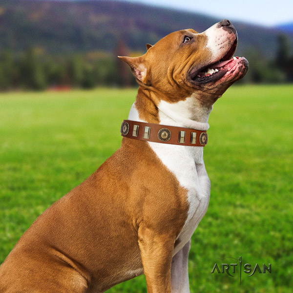 Amstaff inimitable full grain genuine leather dog collar for daily use