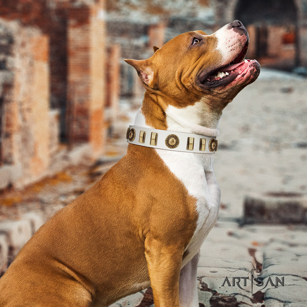 Amstaff exceptional full grain leather dog collar for easy wearing
