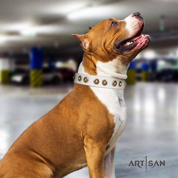 Amstaff exceptional full grain leather dog collar for comfortable wearing
