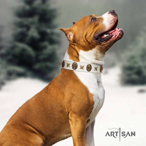 Amstaff remarkable leather dog collar for handy use