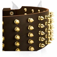 Brilliant wide leather Amstaff spiked dog collar