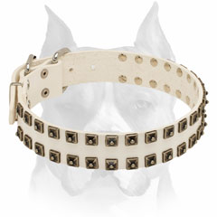 Solid white leather Amstaff collar decorated with studs