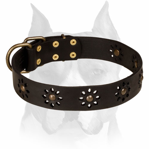 Amstaff Leather Collar With Unique Flower Design