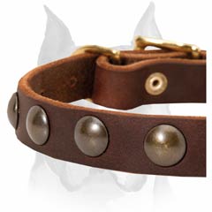Amstaff riveted leather dog collar for puppies