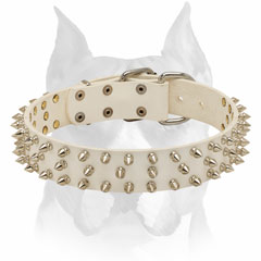 Soft pure  leather dog collar for Amstaff breed
