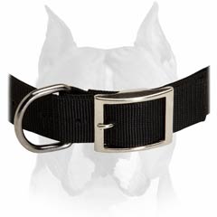 All Year Round Nylon Collar For Amstaff