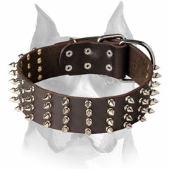 Genuine leather dog collar for Amstaff