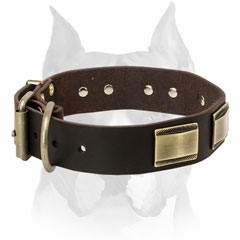 Pure leather dog collar with buckle and D-ring for Amstaff