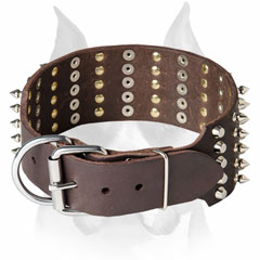 Leather dog collar with nickel-plated buckle for Amstaff