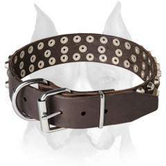 Pure leather Amstaff breed collar