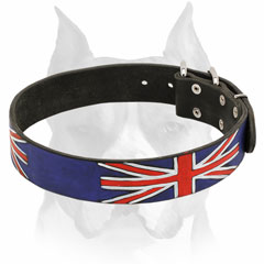 Pure leather Amstaff collar with painting for walking and basic training