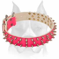 Amstaff nickel spikes and brass rivets pure leather dog collar