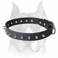 Handset rivets and spikes leather dog collar for Amstaff