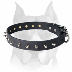 Handset rivets and spikes leather dog collar for Amstaff