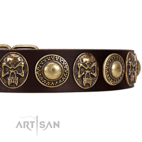 Full grain leather dog collar with decorations for everyday use