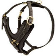 Amstaff Exclusive Luxury Handcrafted Padded Leather Dog Harness  Amstaff Exclusive Luxury Handcrafted Padded Leather Dog Harness