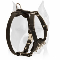 Solid pure leather harness for Amstaff puppies
