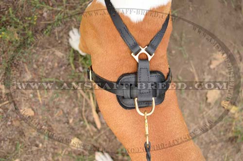 Totally leather dog harness