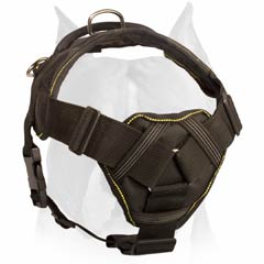 Amstaff dog harness for pulling and tracking