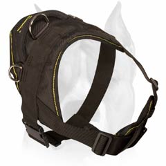 Dog harness for training and walking
