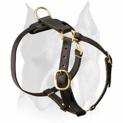 Open designed Amstaff harness