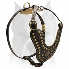 Leather dog harness with brass decorative studs