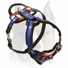 Leather dog harness with water-resistant painting