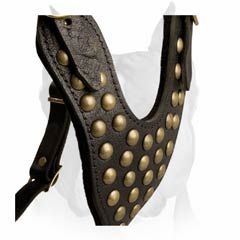 Studded chest plate