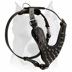 Leather dog harness decorated with spikes