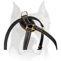 Well designed Amstaff harness