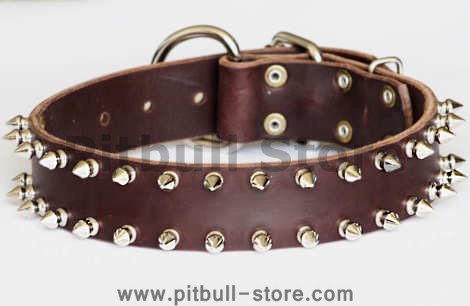 leather spiked dog collar 