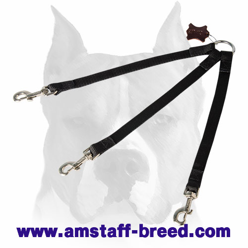 Amstaff Stitched Nylon Coupler Leash for 3 Dogs