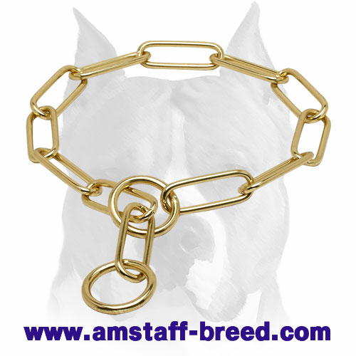 brass dog chain