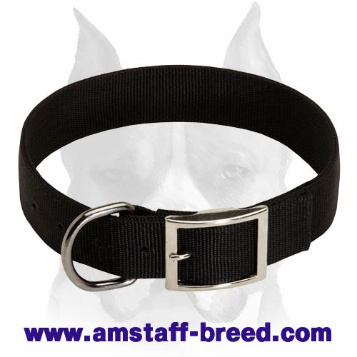 Belt Nylon Collar For Amstaff
