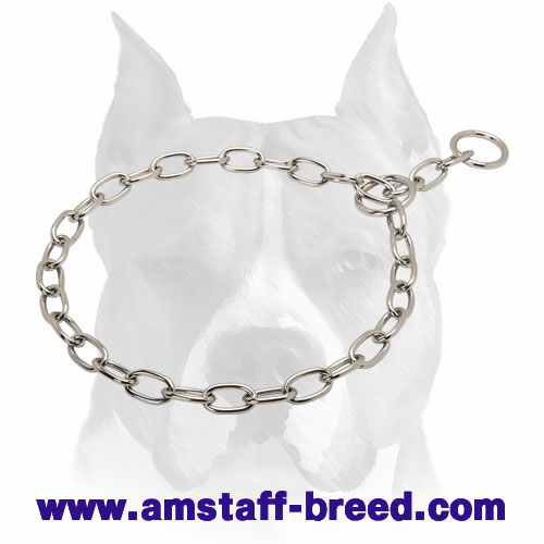 dog correction chain